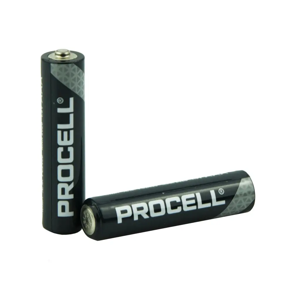 Triple A Battery (2pk)